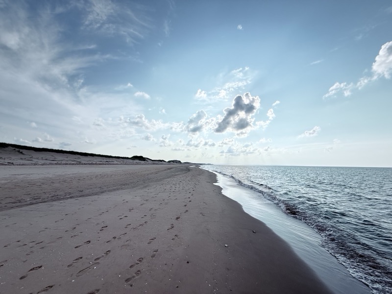 Empty beach shoreline stretching into the distance